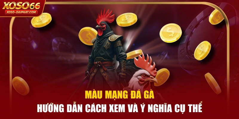 Màu Mạng Đá Gà - Hướng Dẫn Cách Xem Và Ý Nghĩa Cụ Thể 3 Màu Mạng Đá Gà - Hướng Dẫn Cách Xem Và Ý Nghĩa Cụ Thể